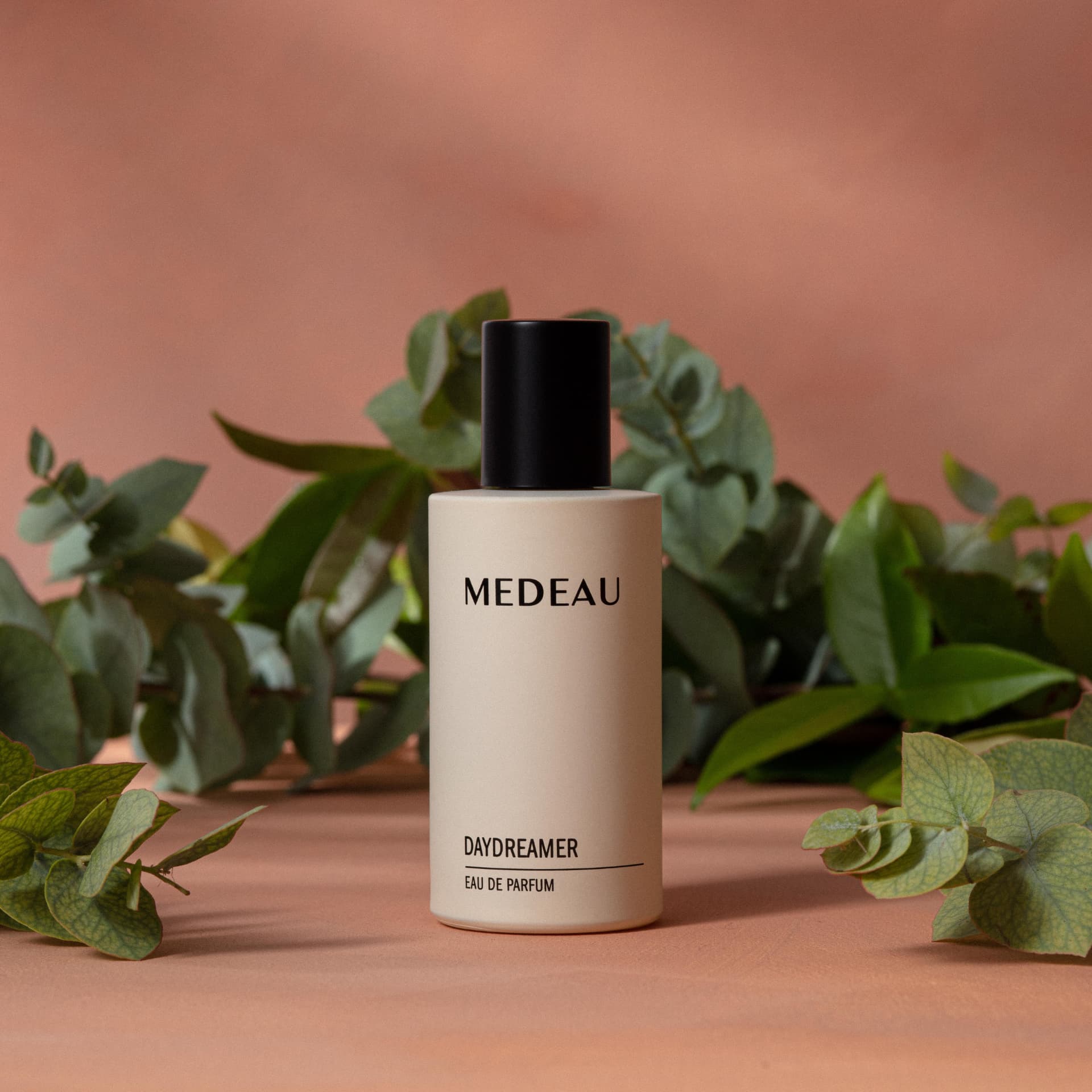 Daydreamer eau de parfum with its key notes