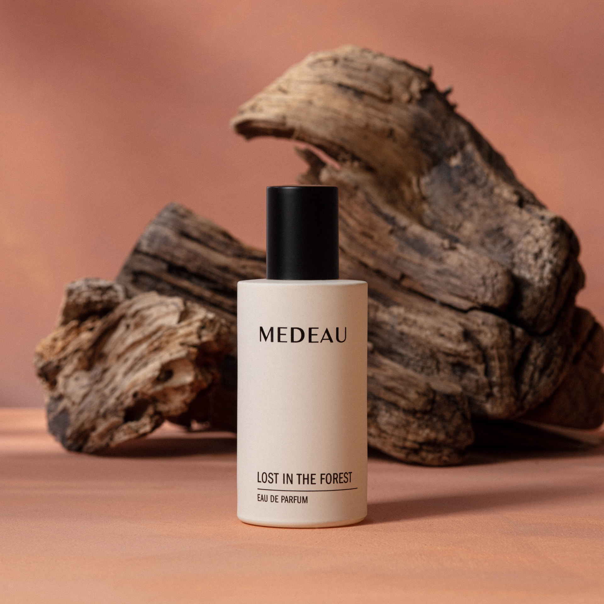 Lost In The Forest eau de parfum with its key notes